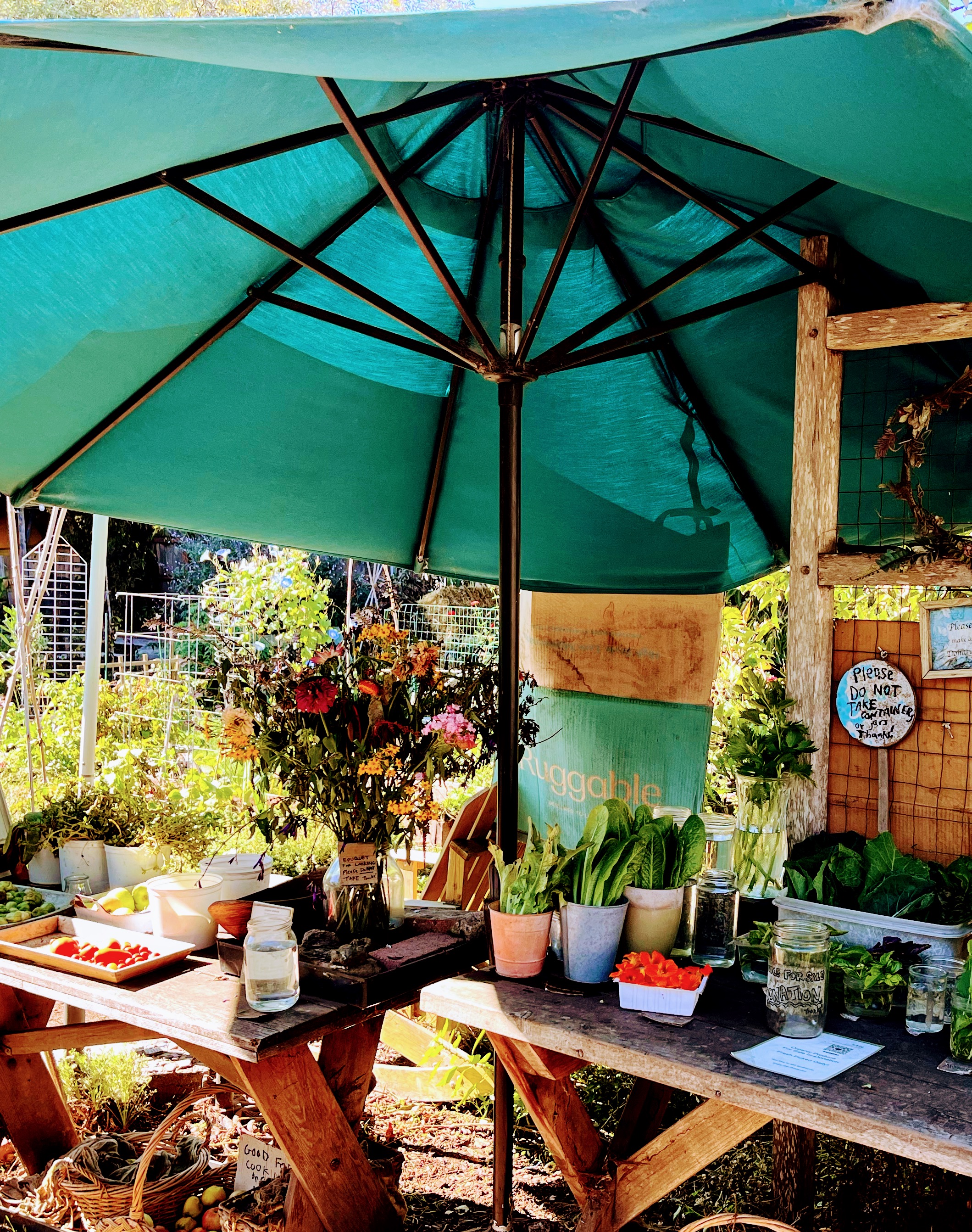 Garden market stand with fresh produce under a green umbrella
