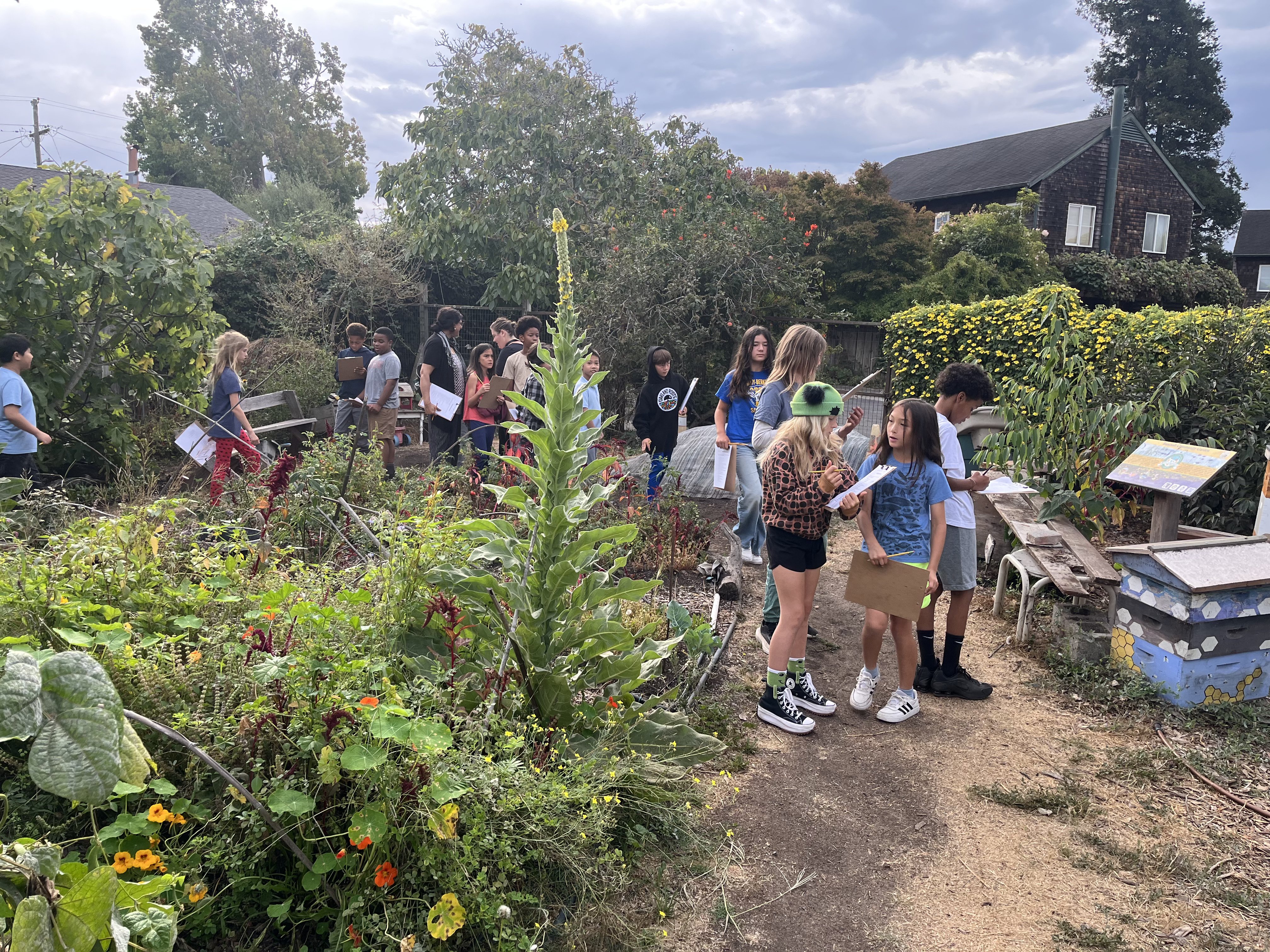 School children on a garden tour at Bancroft Community Garden